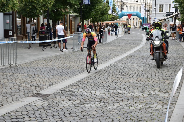 仅反映了我 仅反映了我